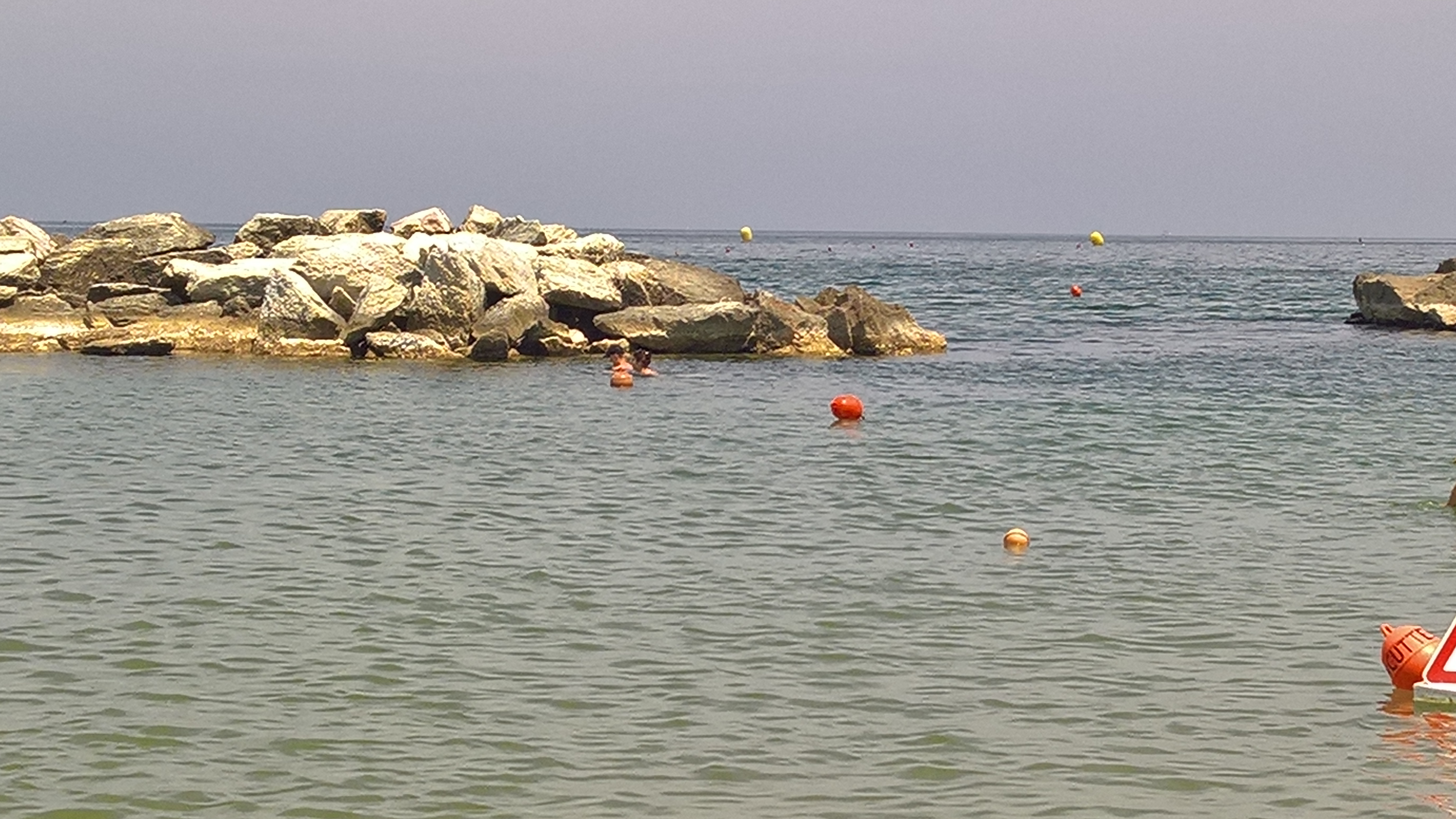 WP 20170616 12 31 33 Rich